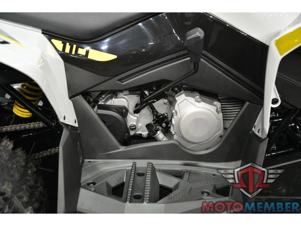 2026 Can-am Renegade 110 Efi alt