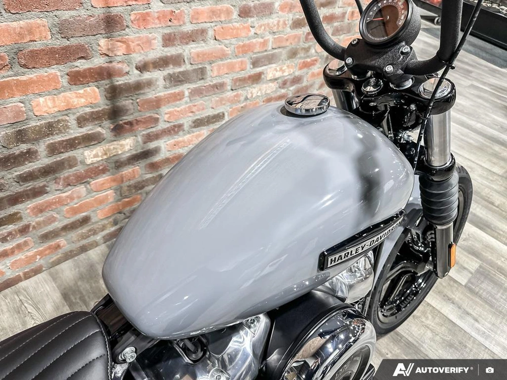 2026 Harley-davidson Street Bob alt