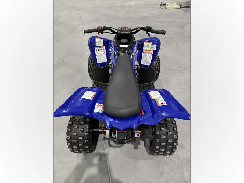 Yamaha Raptor 110 2026