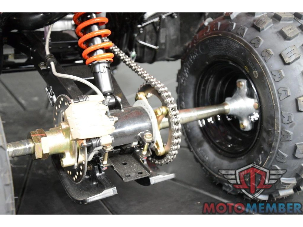 2026 Can-am Ds 250 alt