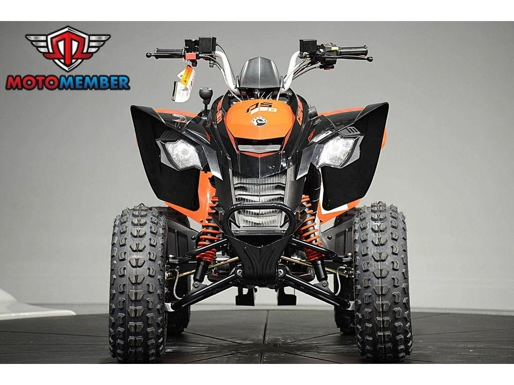 2026 Can-am Ds 250 alt