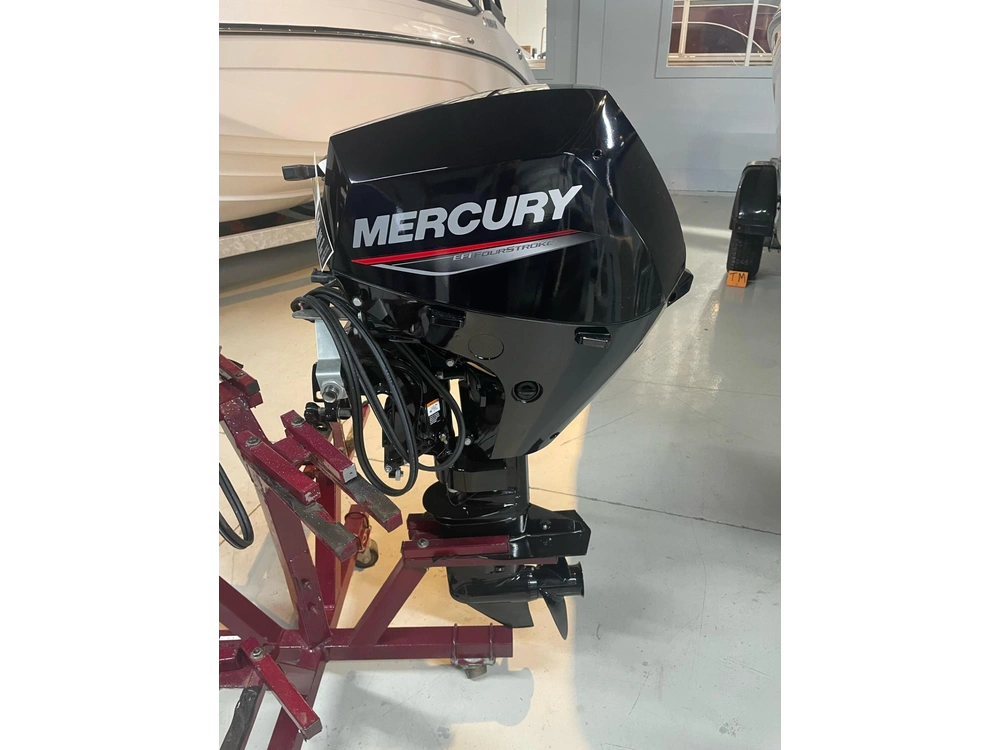 2022 Mercury 9.9e 4s E alt