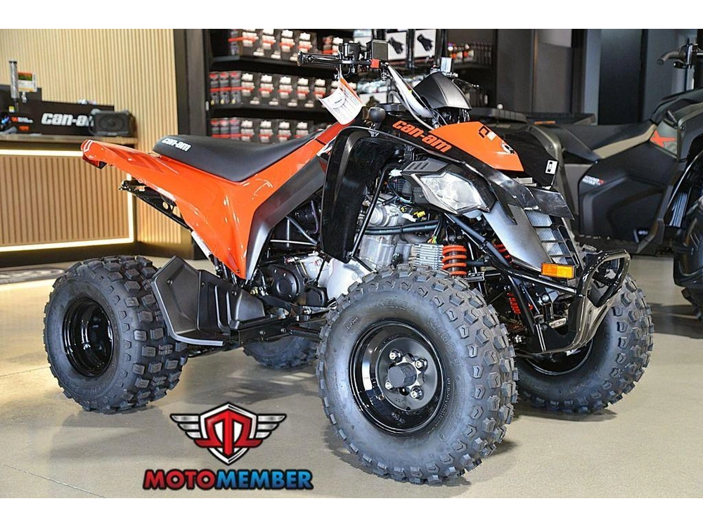 2026 Can-am Ds 250 alt