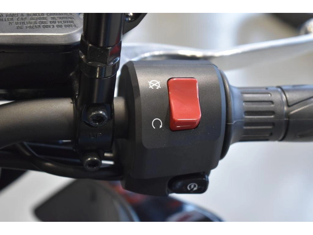 2025 Kawasaki Z500 Abs alt