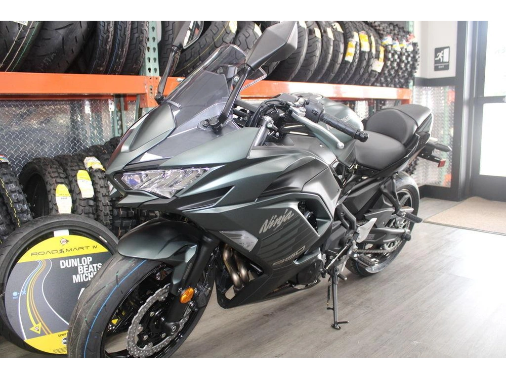 2025 Kawasaki Ninja® 650 Abs alt