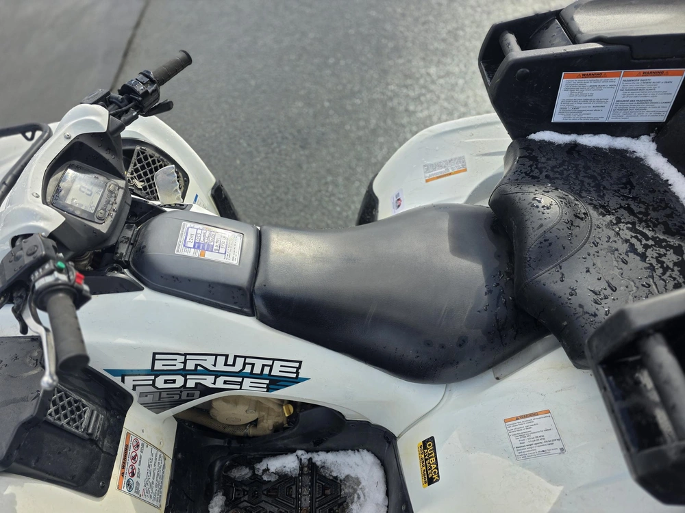 2023 Kawasaki Brute Force 750 4x4i Eps alt