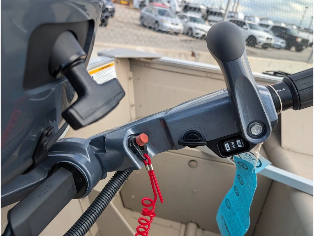 2025 Yamaha Freedom alt