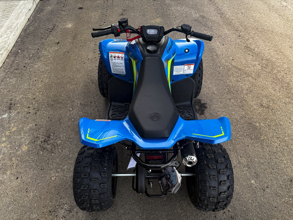 2026 Cfmoto Cforce 110 Classic alt