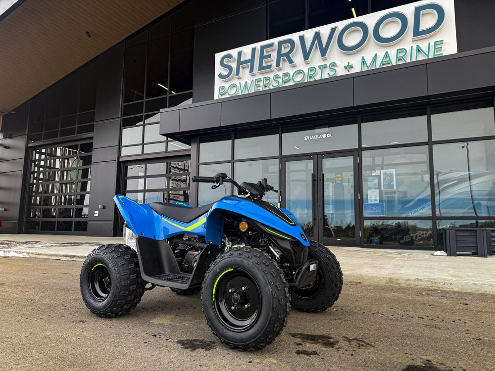 2026 Cfmoto Cforce 110 Classic alt