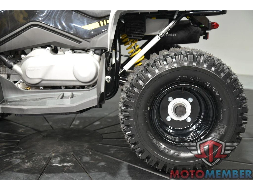 2026 Can-am Renegade 110 Efi alt