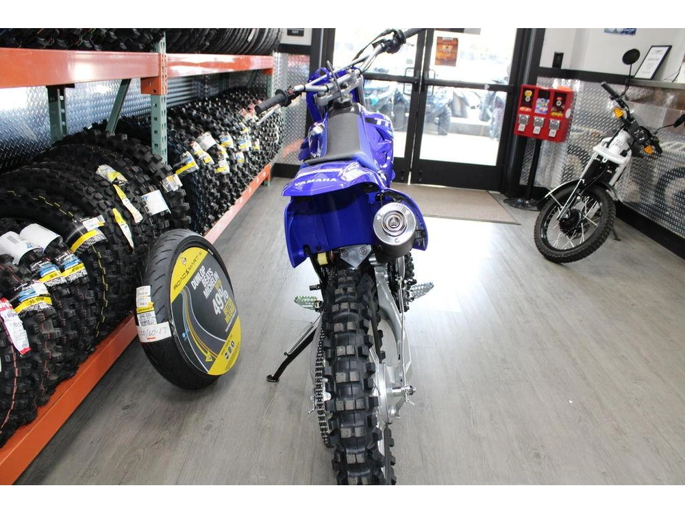 2025 Yamaha Tt-r230 alt