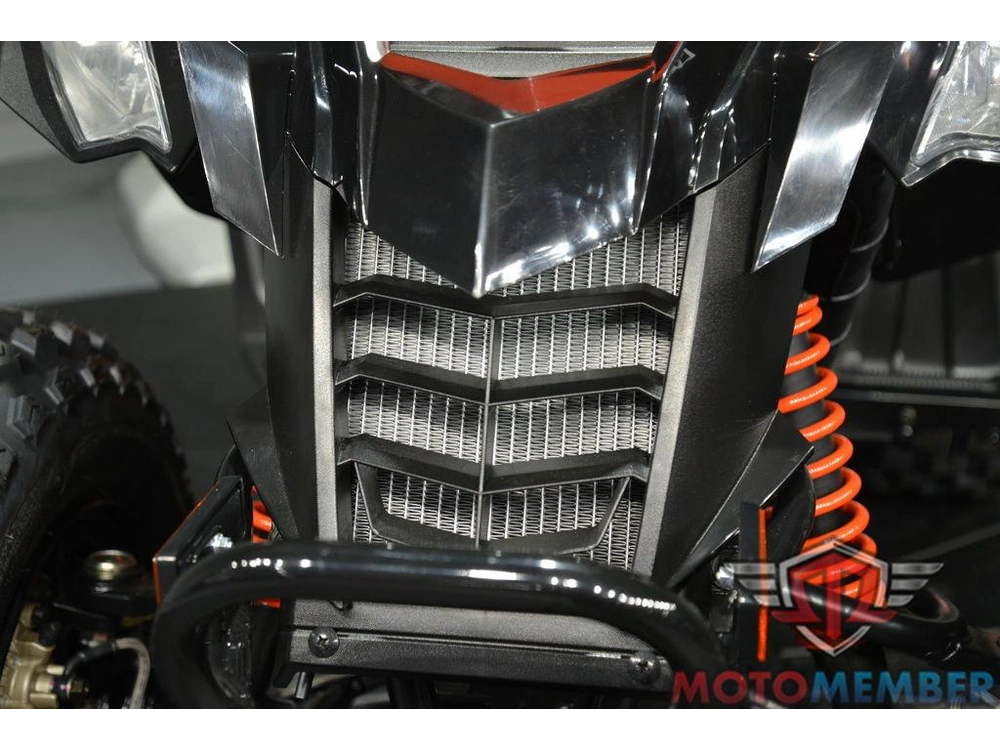 2026 Can-am Ds 250 alt