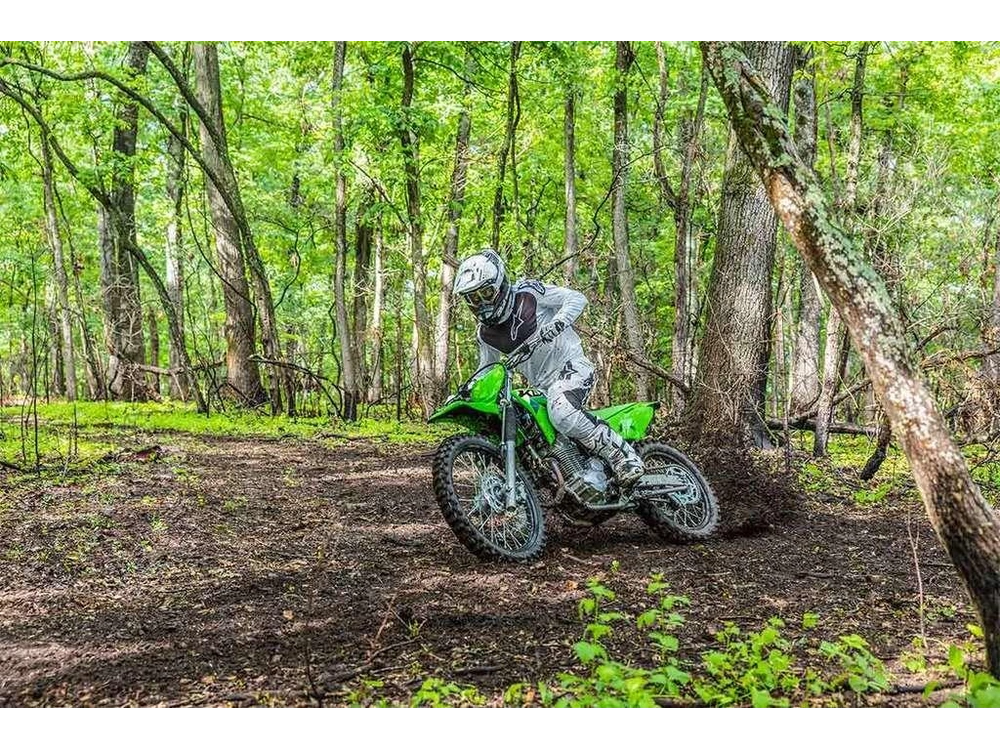 2026 Kawasaki Klx®230r S alt