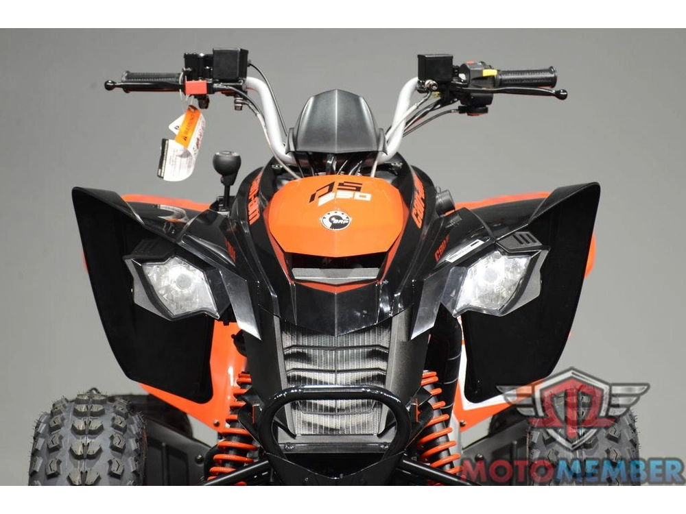 2026 Can-am Ds 250 alt