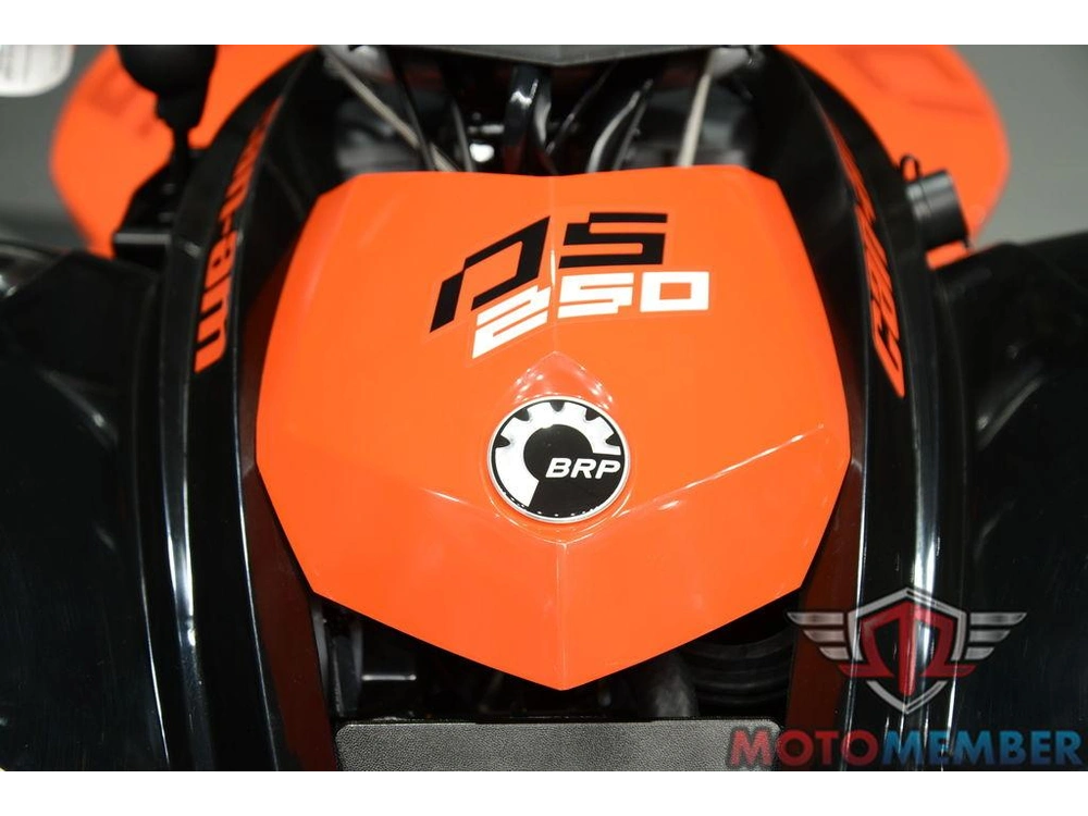 2026 Can-am Ds 250 alt