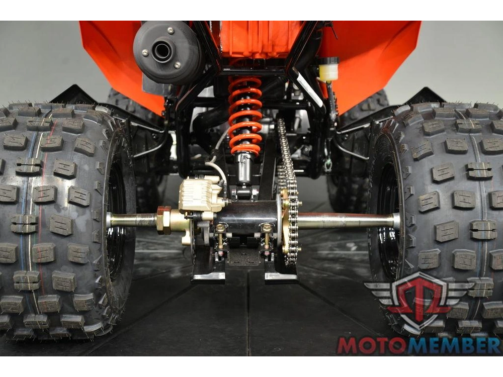 2026 Can-am Ds 250 alt
