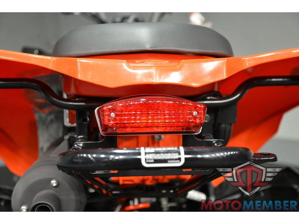 2026 Can-am Ds 250 alt