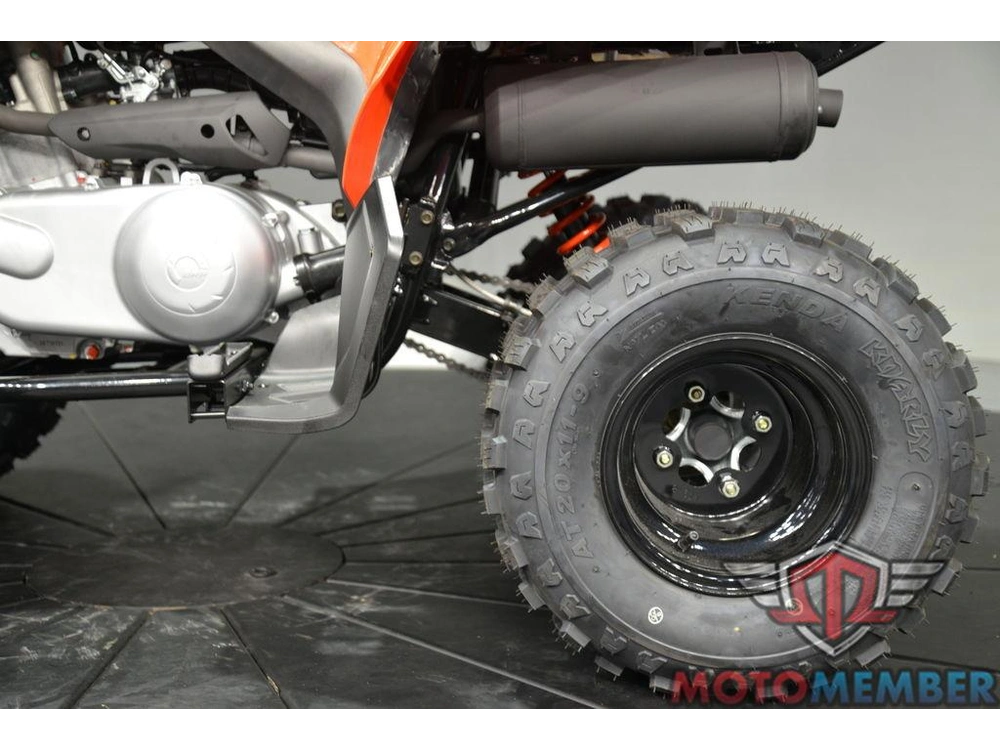 2026 Can-am Ds 250 alt
