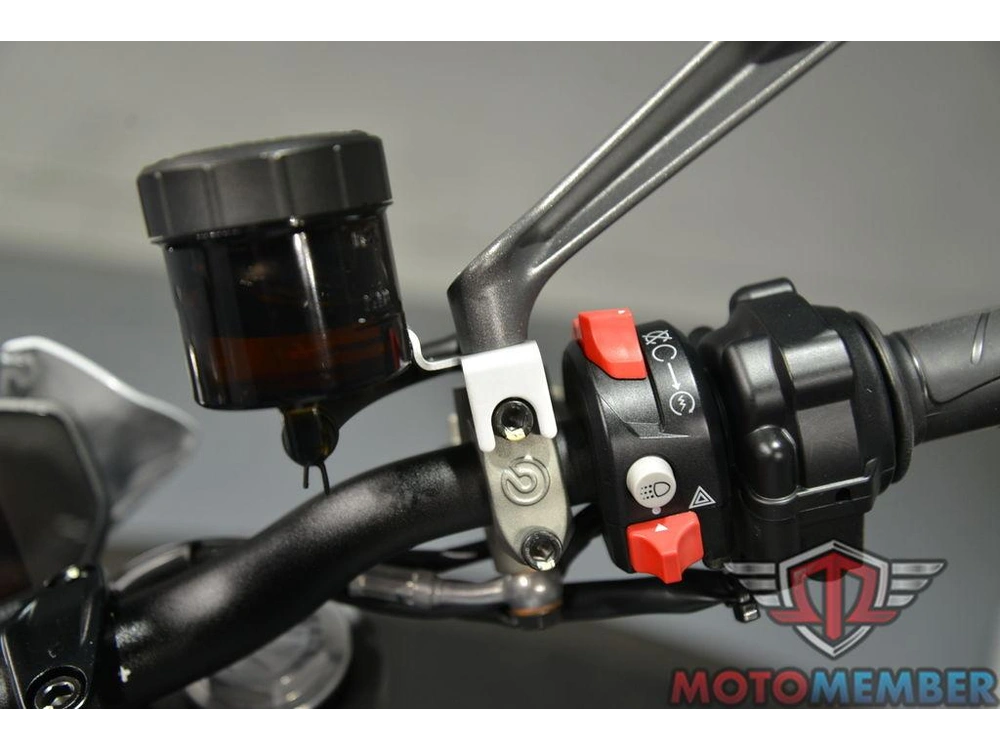 2024 Ducati Monster Plus Iceberg White alt