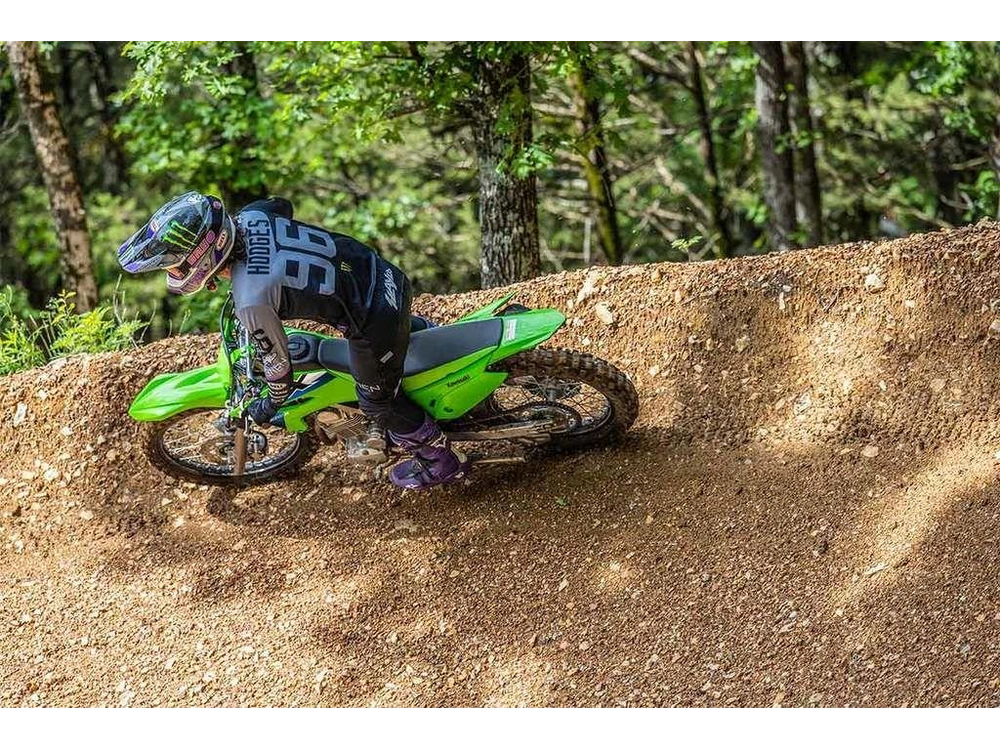 2026 Kawasaki Klx®230r S alt