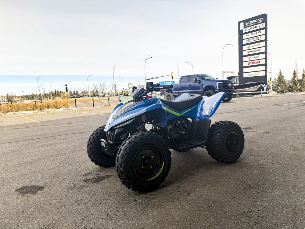 2026 Cfmoto Cforce 110 Classic alt