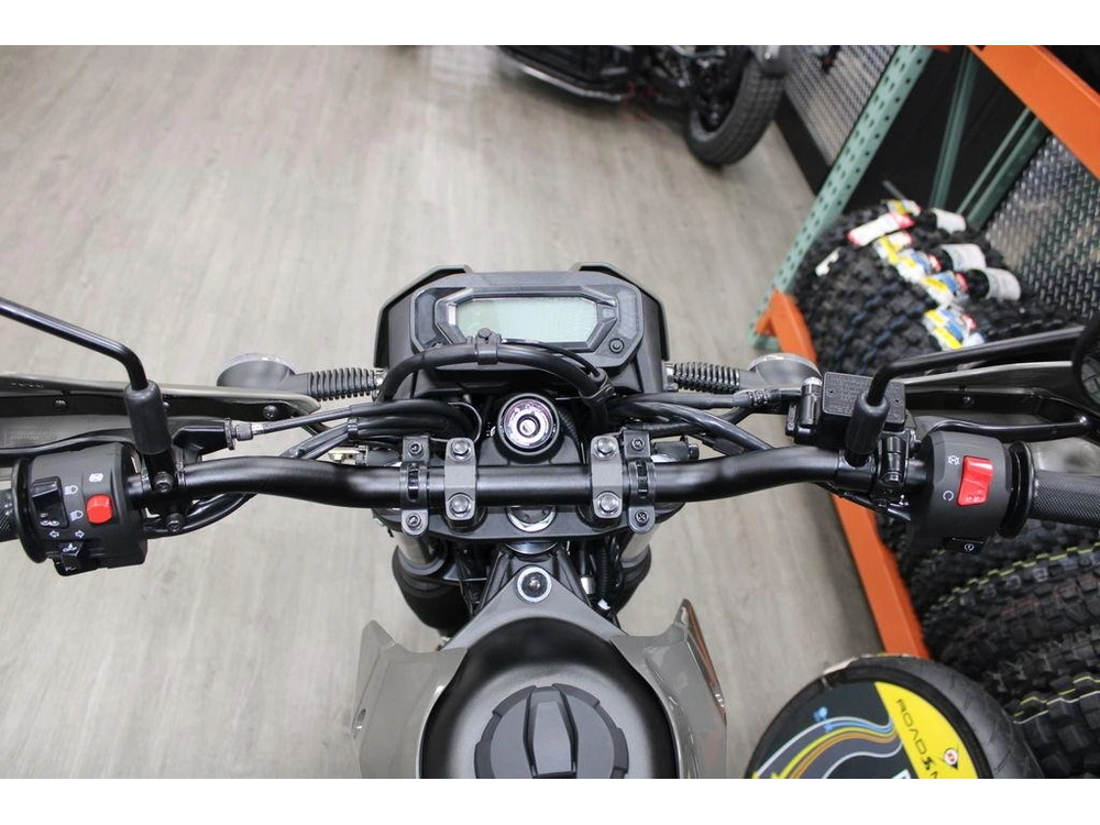 2026 Kawasaki Klx®230 Df Abs alt