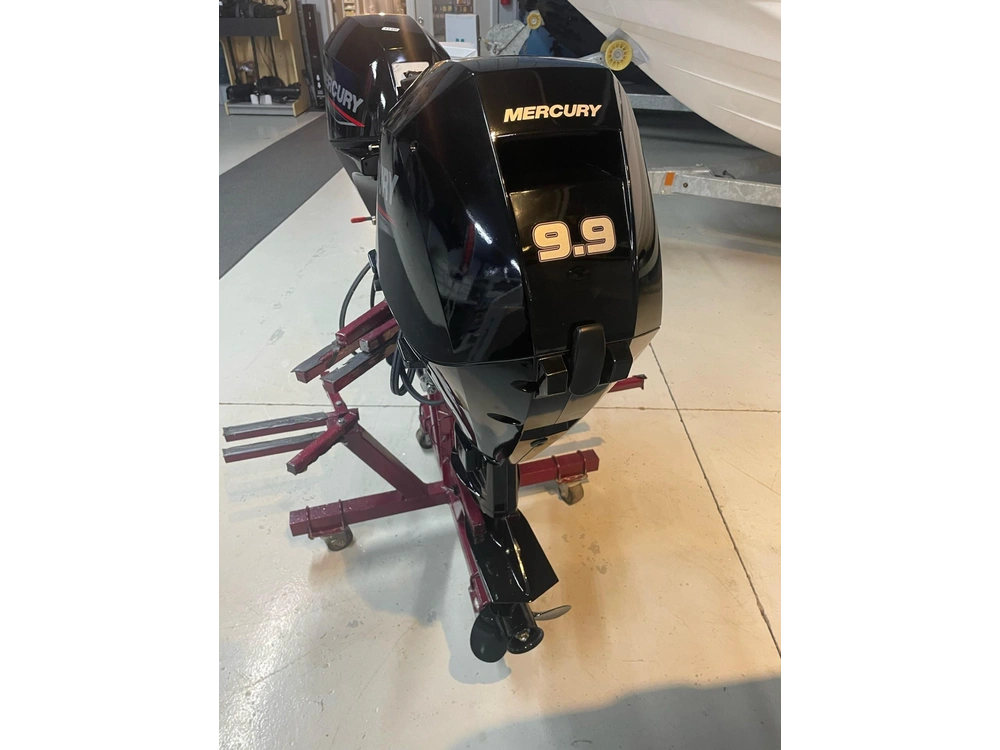 2022 Mercury 9.9e 4s E alt