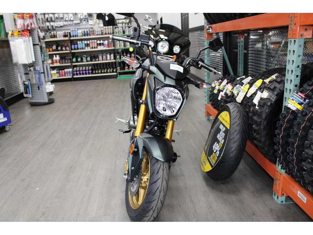 2025 Kawasaki Z125 Pro alt