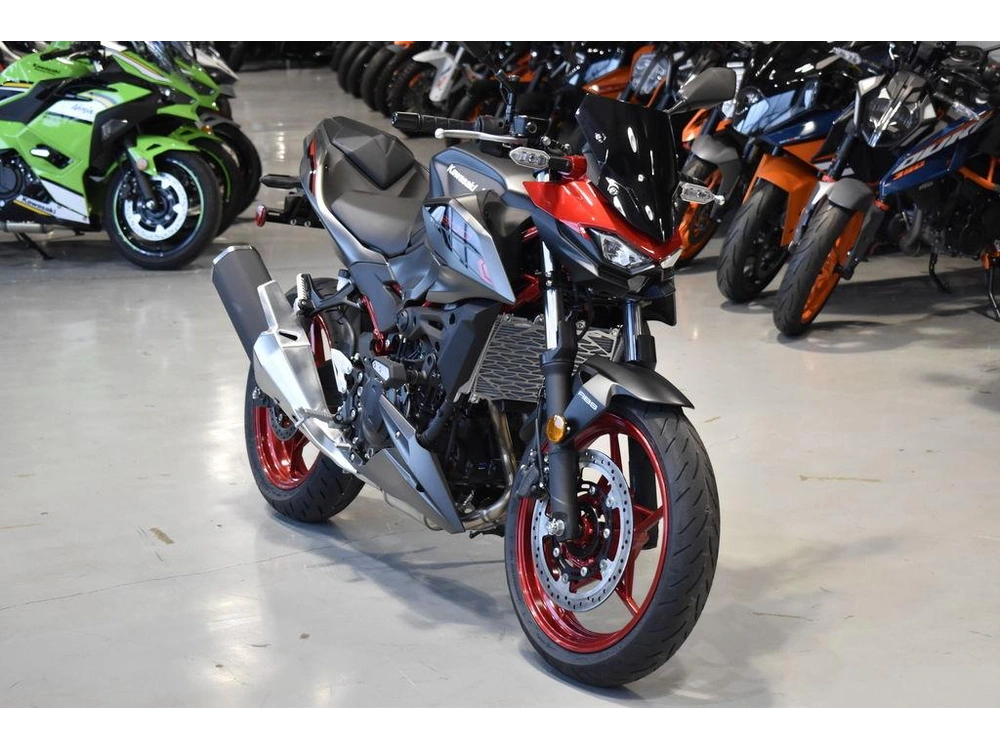 2025 Kawasaki Z500 Se Abs alt