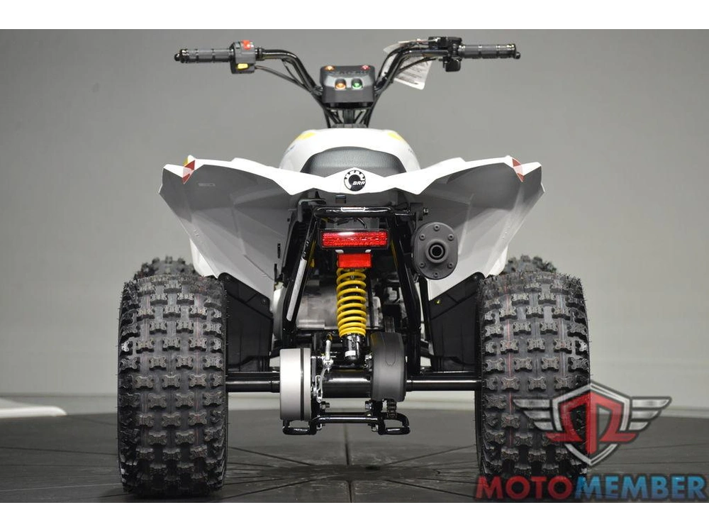 2026 Can-am Renegade 110 Efi alt
