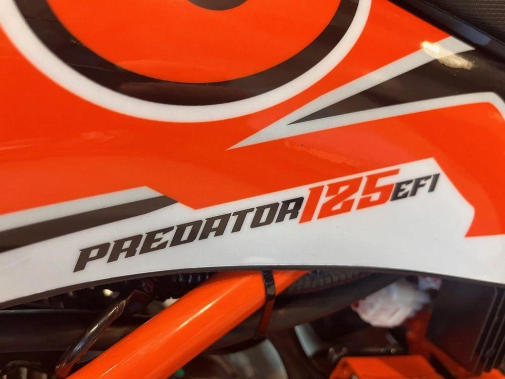 2025 Kayo Predator 125 Efi alt