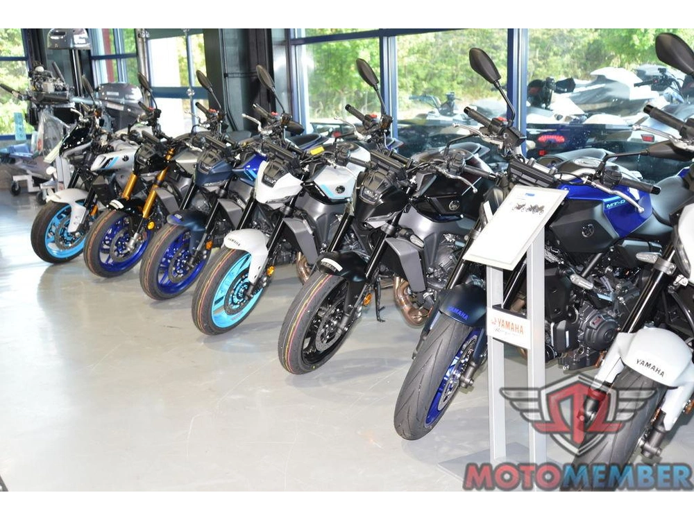 2025 Triumph Speed Twin 900 Phantom Black/aurum Gold alt