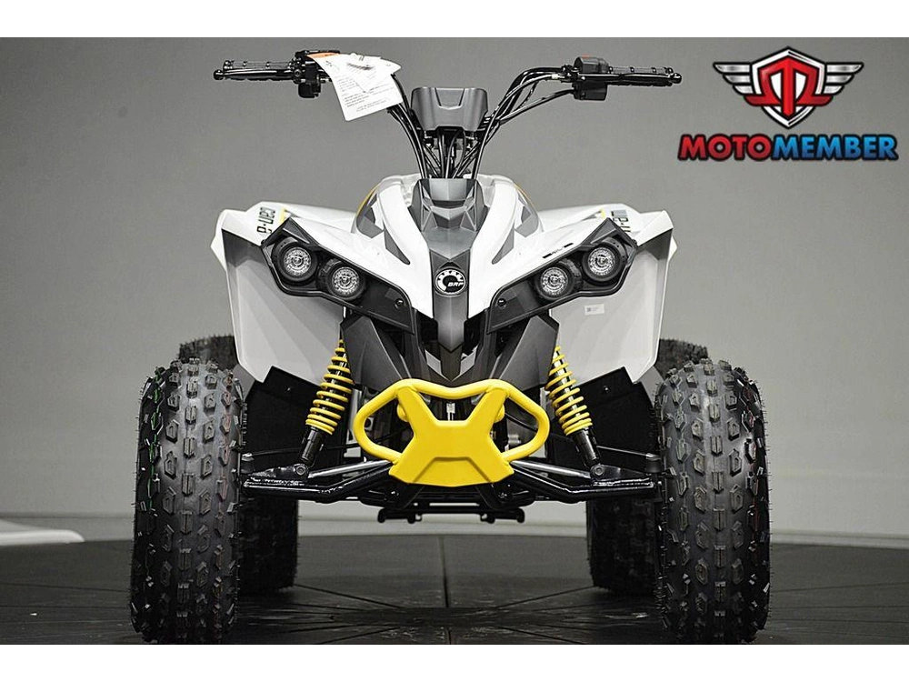 2026 Can-am Renegade 110 Efi alt