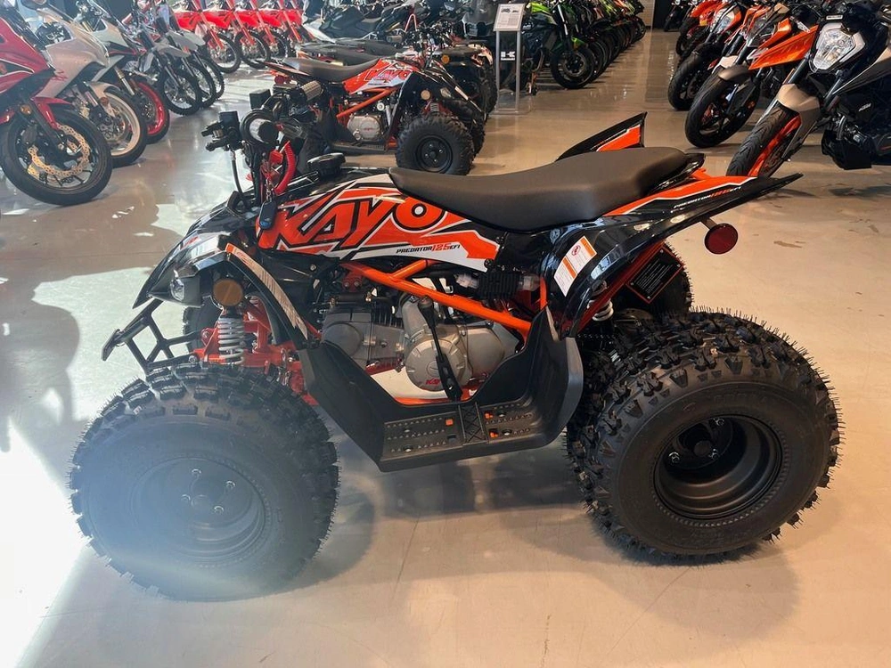 2025 Kayo Predator 125 Efi alt