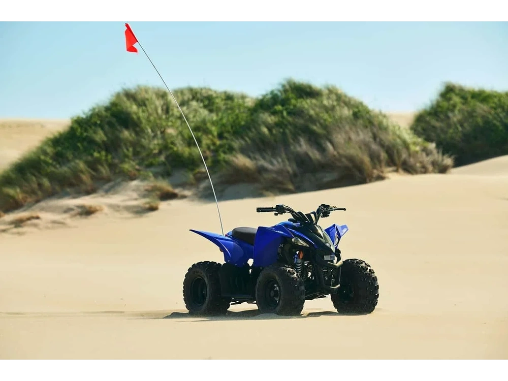 2025 Yamaha Yfz50 Teal alt