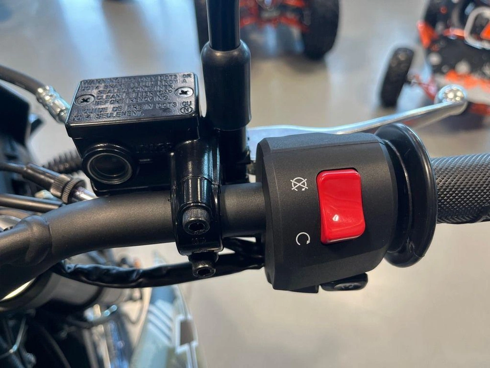 2026 Kawasaki Klx®300 Cypher Camo Beige alt