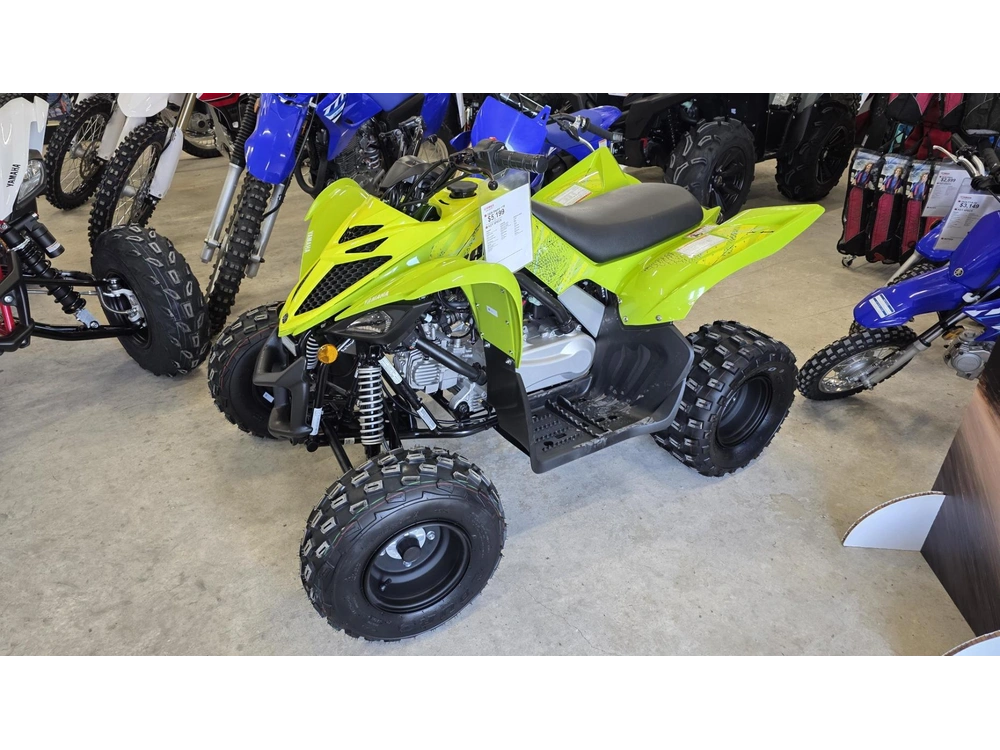 2026 Yamaha Raptor 110 alt