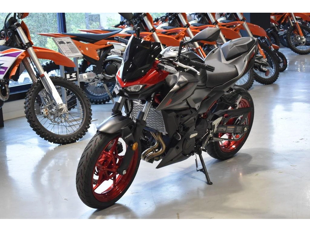 2025 Kawasaki Z500 Se Abs alt