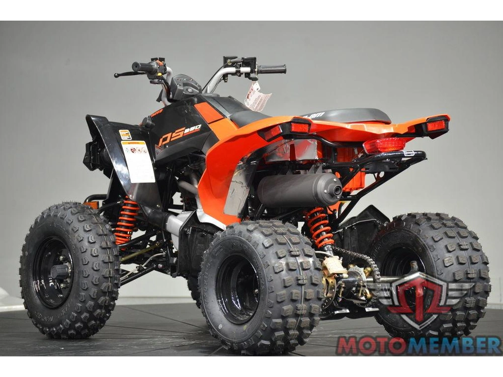 2026 Can-am Ds 250 alt