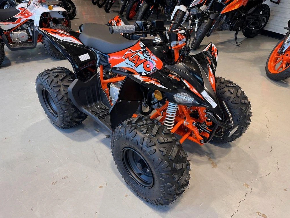 2026 Kayo 110 Predator alt