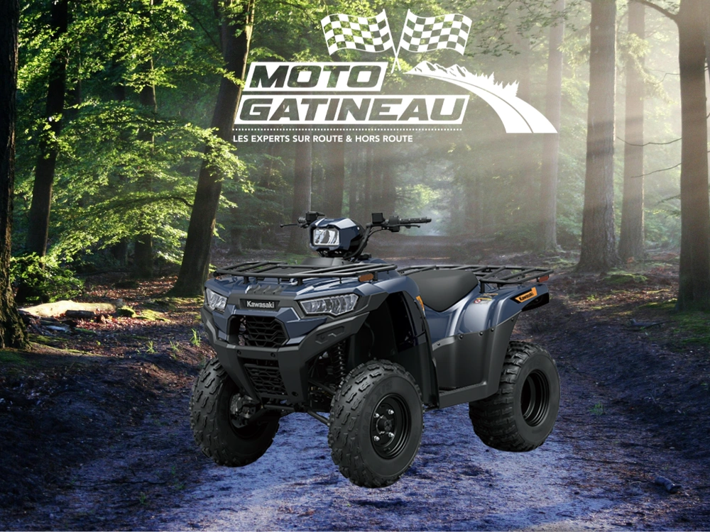 Kawasaki Brute Force 300 2026 alt