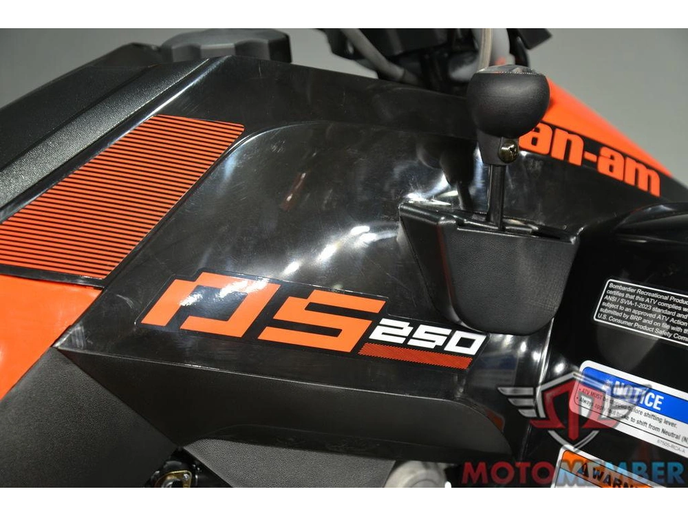 2026 Can-am Ds 250 alt