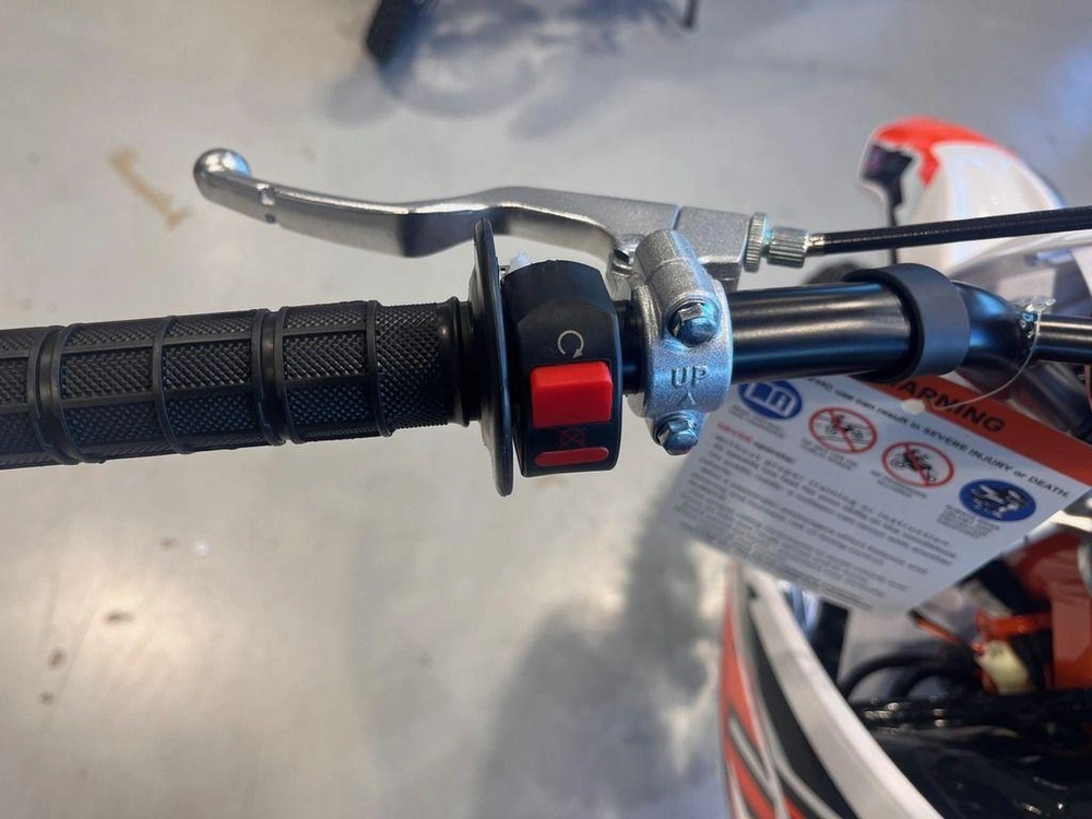 2025 Kayo Tt 125 Efi alt