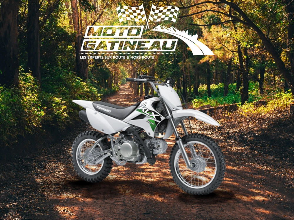 2026 Kawasaki Klx110r alt