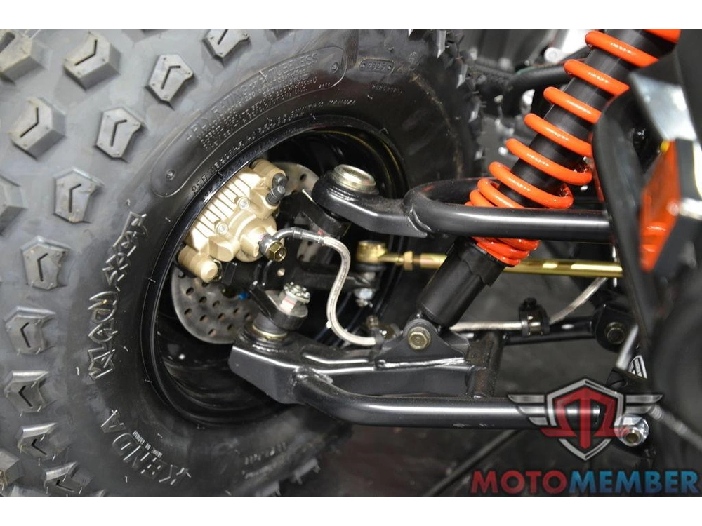 2026 Can-am Ds 250 alt