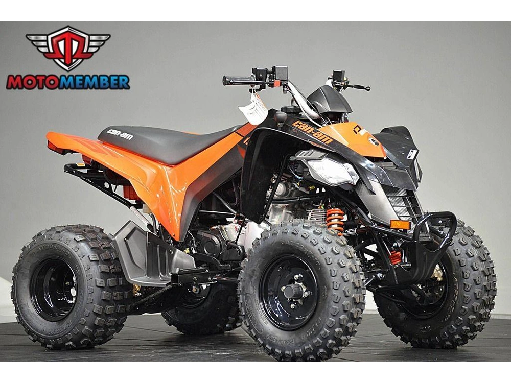 2026 Can-am Ds 250 alt