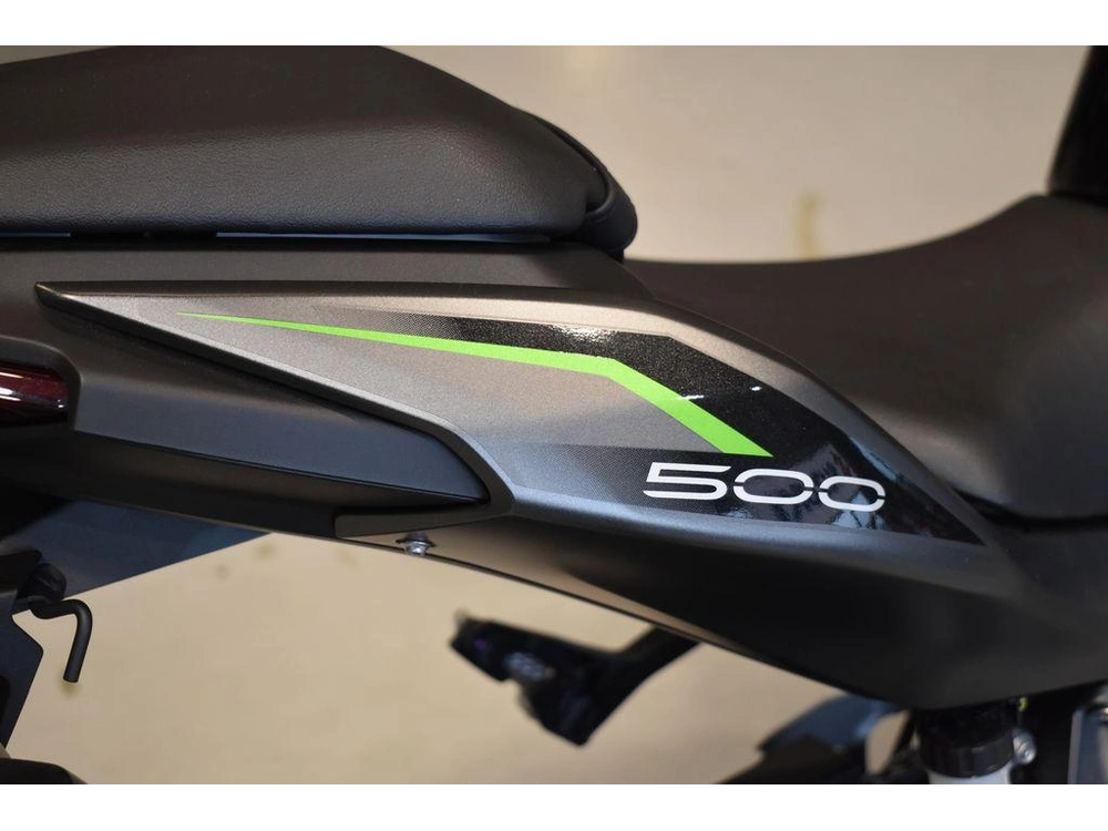 2025 Kawasaki Z500 Abs alt
