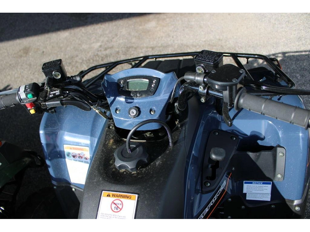 2025 Kawasaki Brute Force® 300 alt