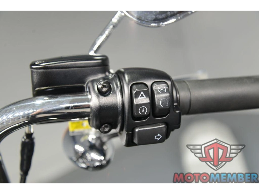 2022 Harley-davidson Fxst - Softail® Standard alt