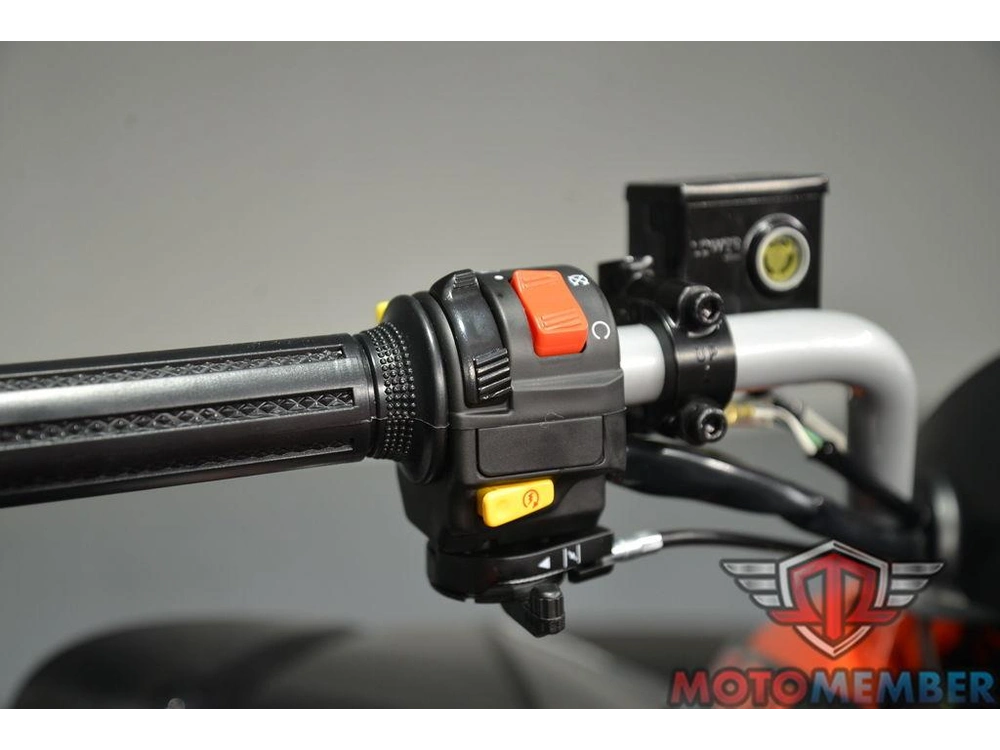 2026 Can-am Ds 250 alt